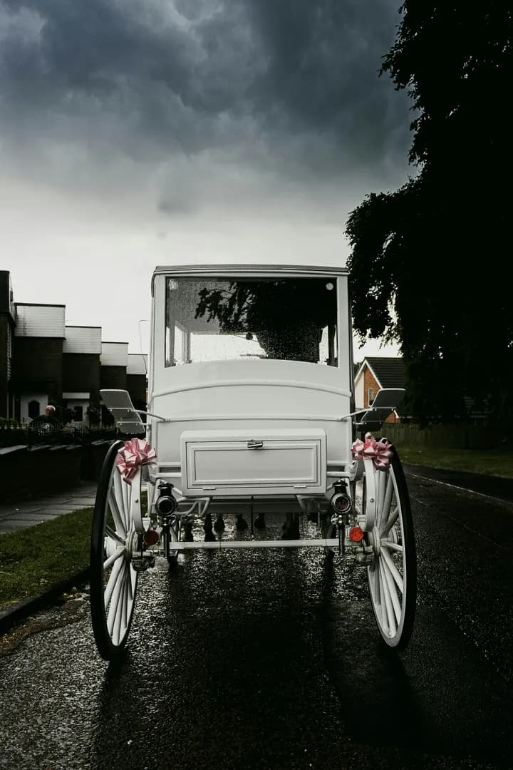Buggy 1